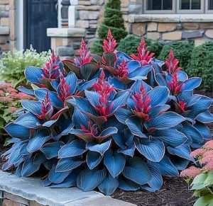 Хоста Грин Фог купить по цене от 669р. в интернет-магазине «Посадика» с доставкой почтой в в Коломнае и по всей России – [изображение №1].