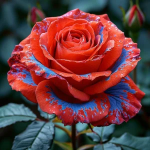 Роза Сикрет Гарден купить по цене от 619р. в интернет-магазине «Посадика» с доставкой почтой в в Коломнае и по всей России – [изображение №1].