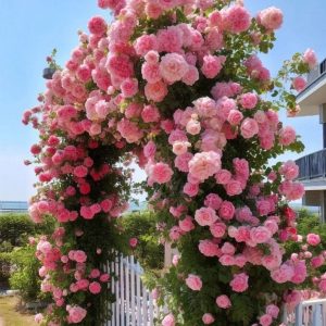 Роза Пастель Розе купить по цене от 605р. в интернет-магазине «Посадика» с доставкой почтой в в Коломнае и по всей России – [изображение №1].